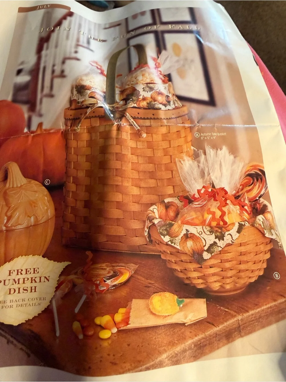 LONGABERGER 2003 AUTUMN TOTE SET